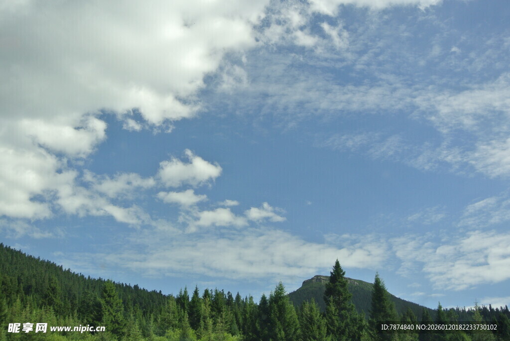 蓝天白云下的葱郁山林