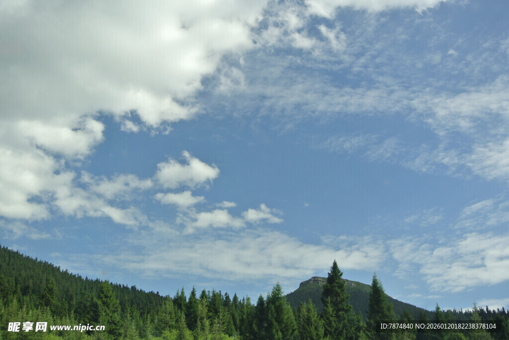 蓝天白云下的葱郁山林