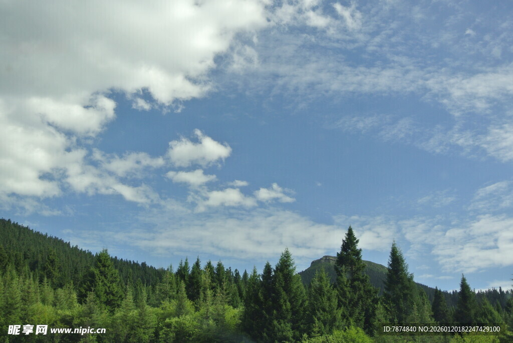 青山蓝天间的葱郁森林
