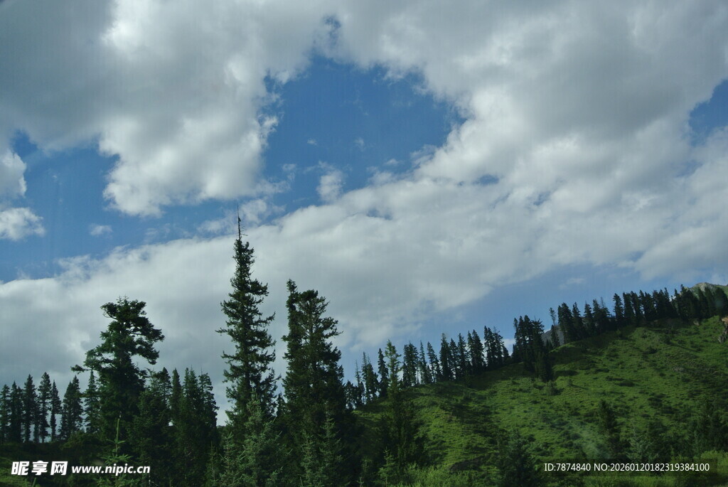 蓝天白云下的茂密山林