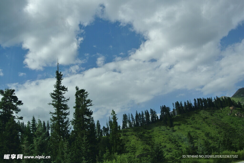 蓝天白云下的葱郁山林
