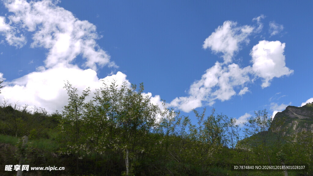蓝天白云下的山林美景