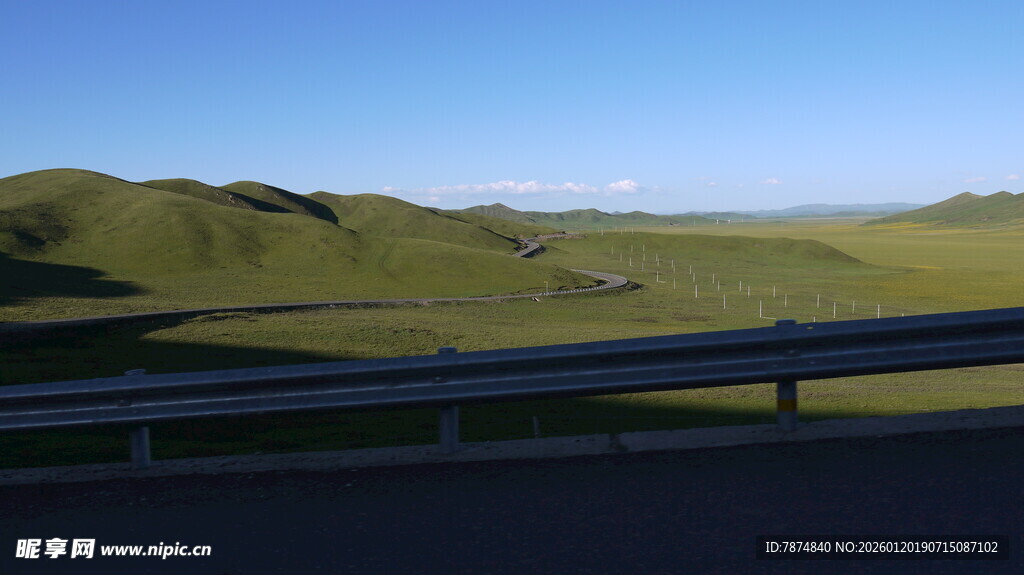 公路旁的广袤绿色原野