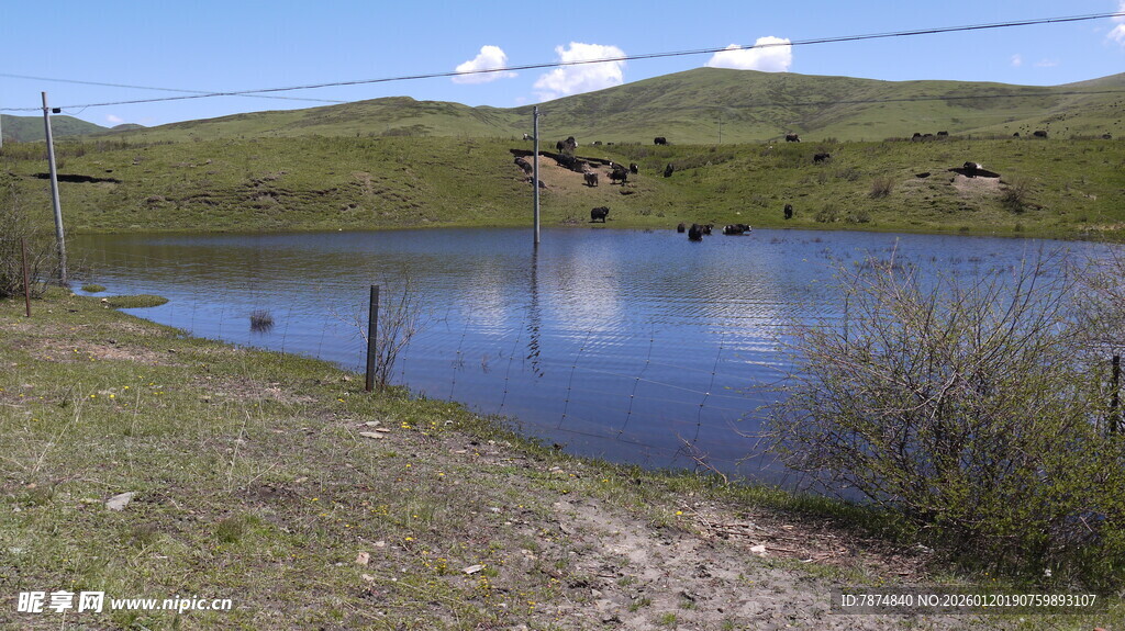 乡村宁静湖泊风景
