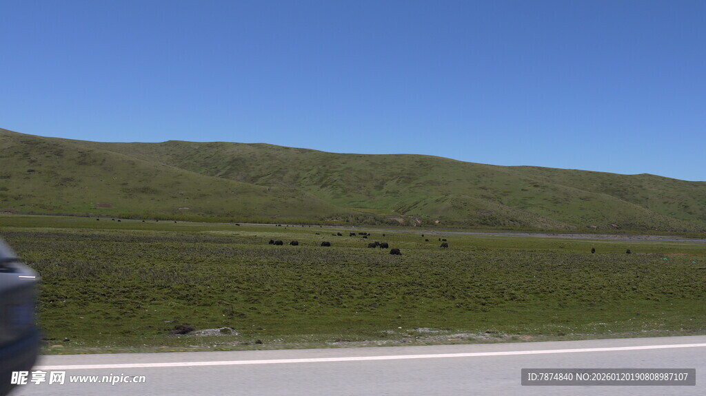 草原公路风景