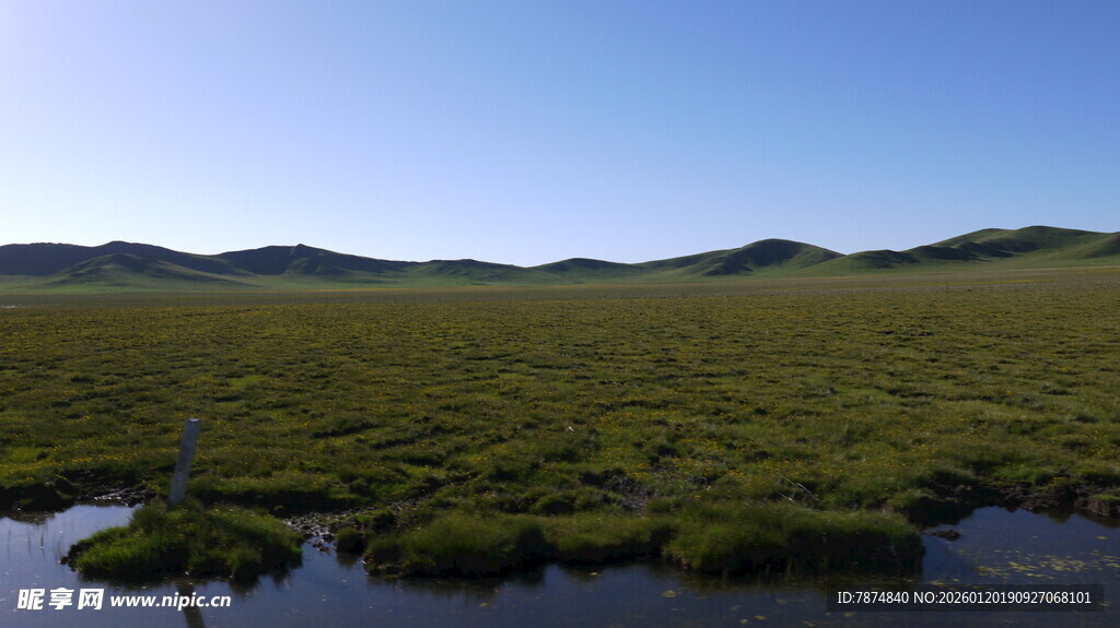广袤草原上的宁静水域