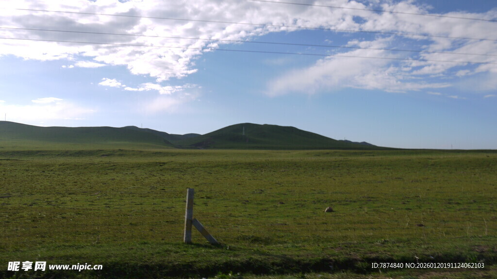 草原风光 独树伫立