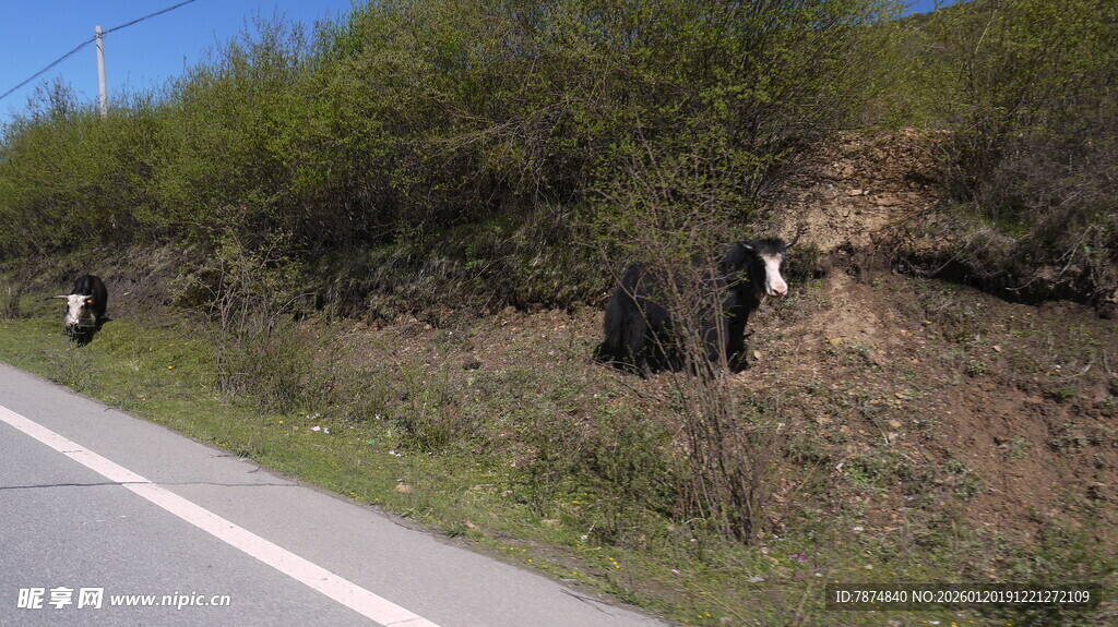 公路旁的自然与人工景象