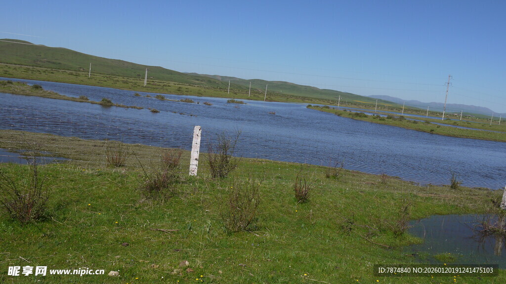 湖畔草地风光