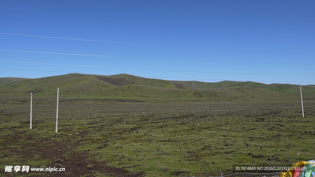 草原风光中的电线杆