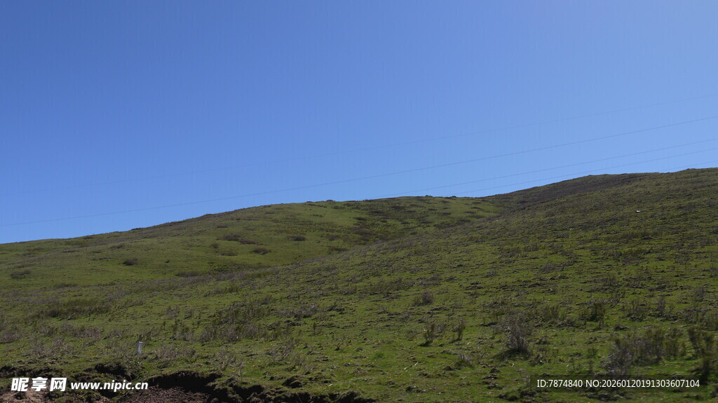 翠绿山坡 蓝天背景美景