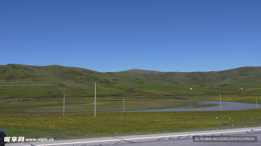 草原公路旁的开阔风景
