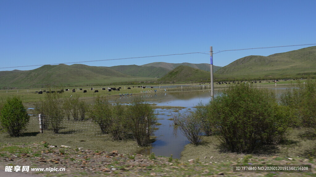 山间溪流旁的自然景致