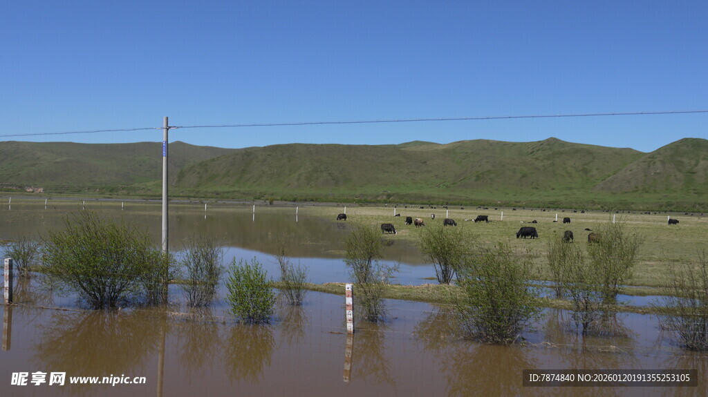 洪水淹没乡村景象