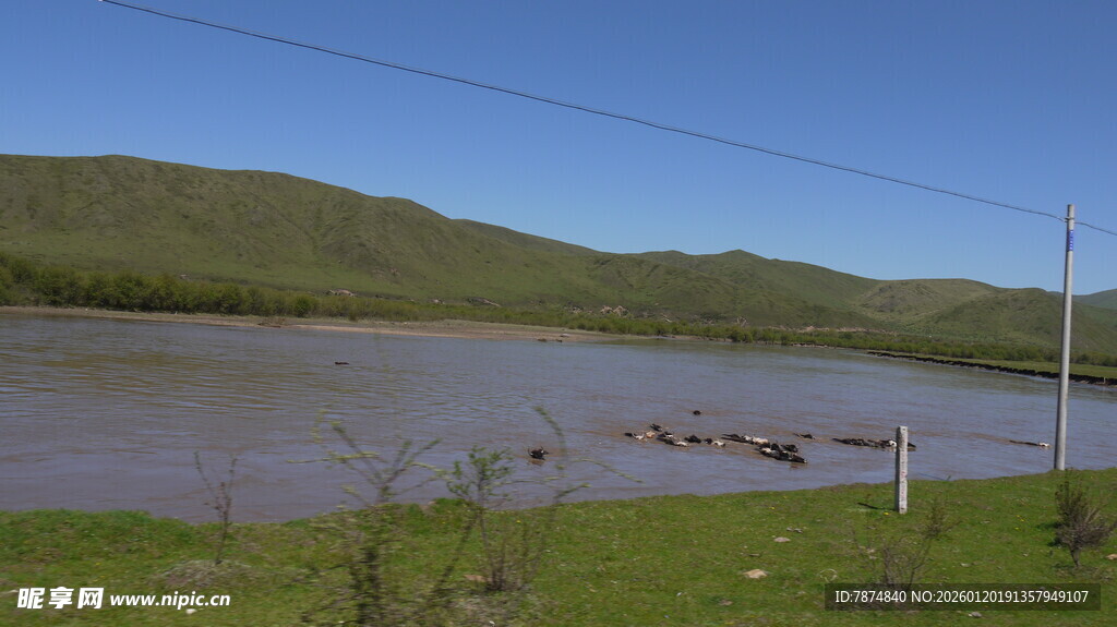 广阔水域旁的绿色原野