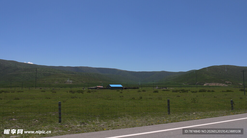 公路旁的开阔绿野风光