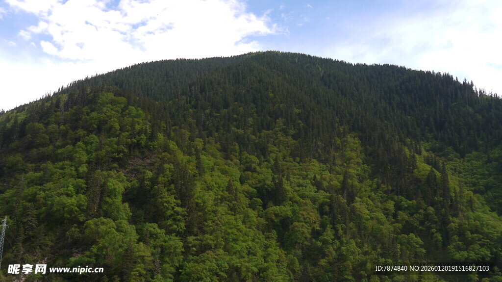 青山绿树成荫的秀丽山峦