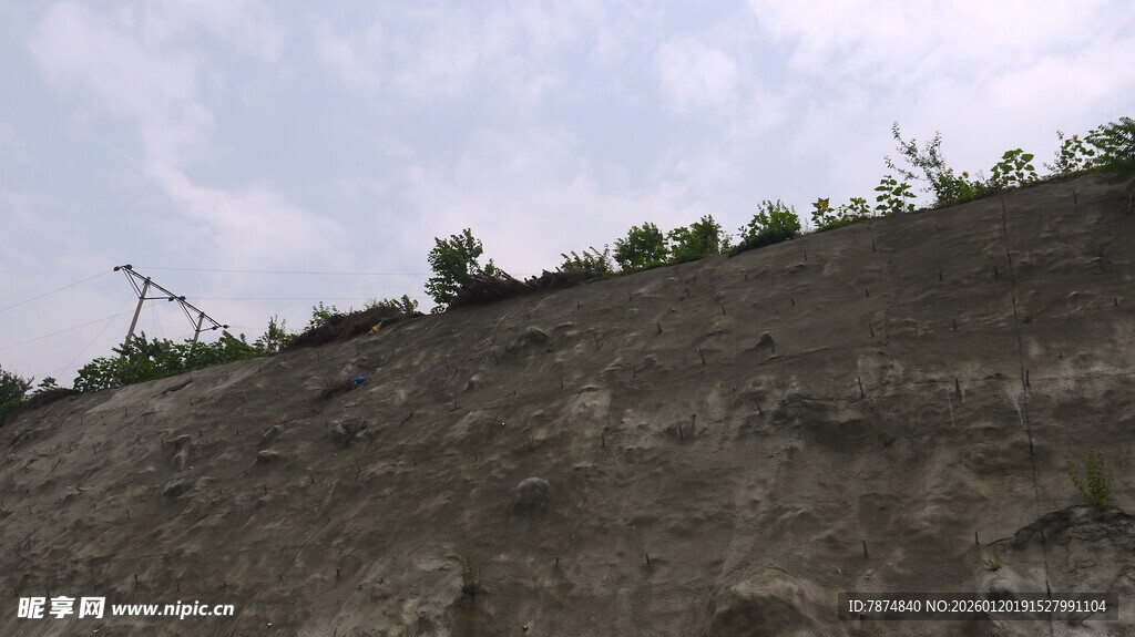 山坡上的稀疏植被