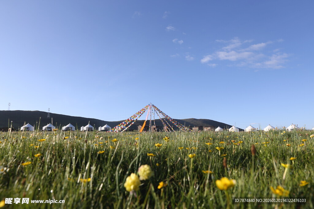 草原上的建筑与烂漫黄花