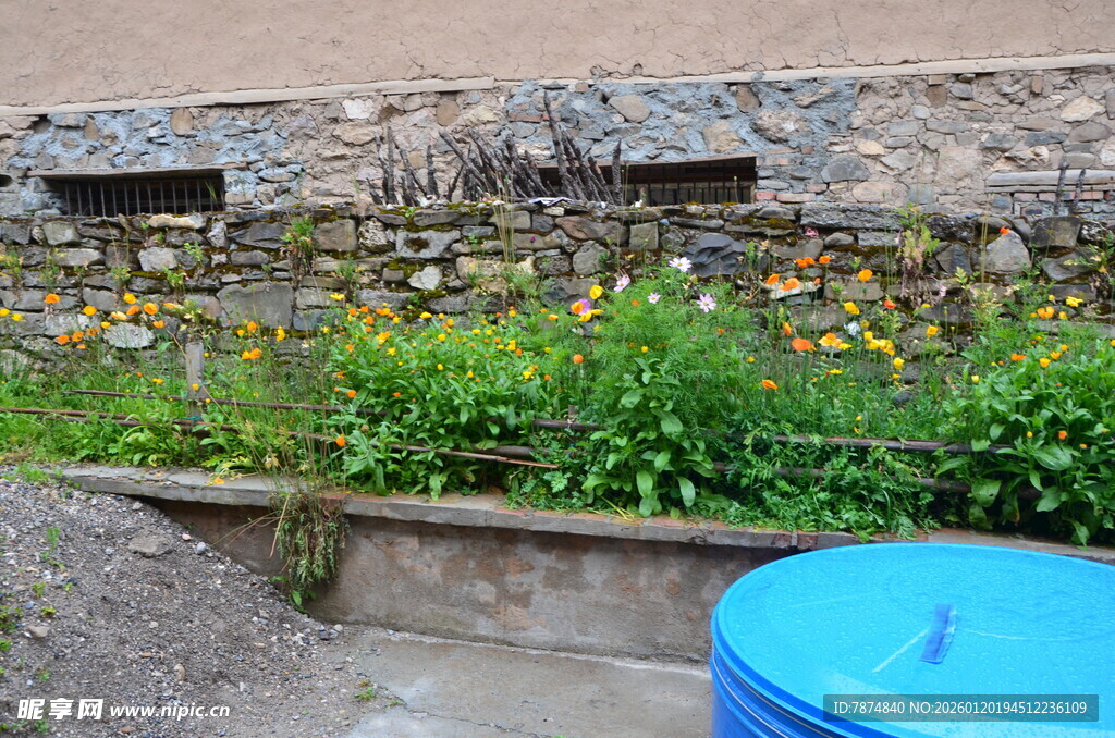 石墙边的多彩植物景观