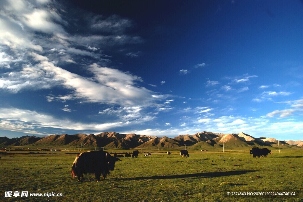 草原蓝天牧场景色