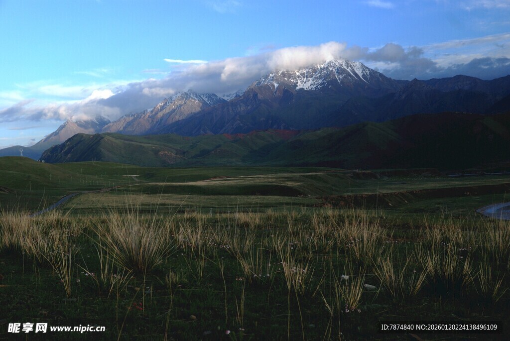 壮丽雪山下的广袤原野
