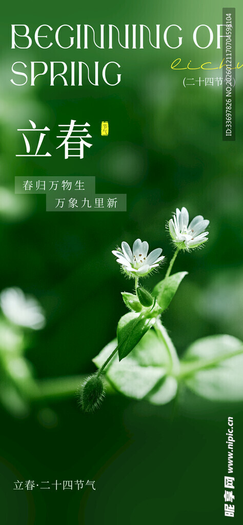 立春