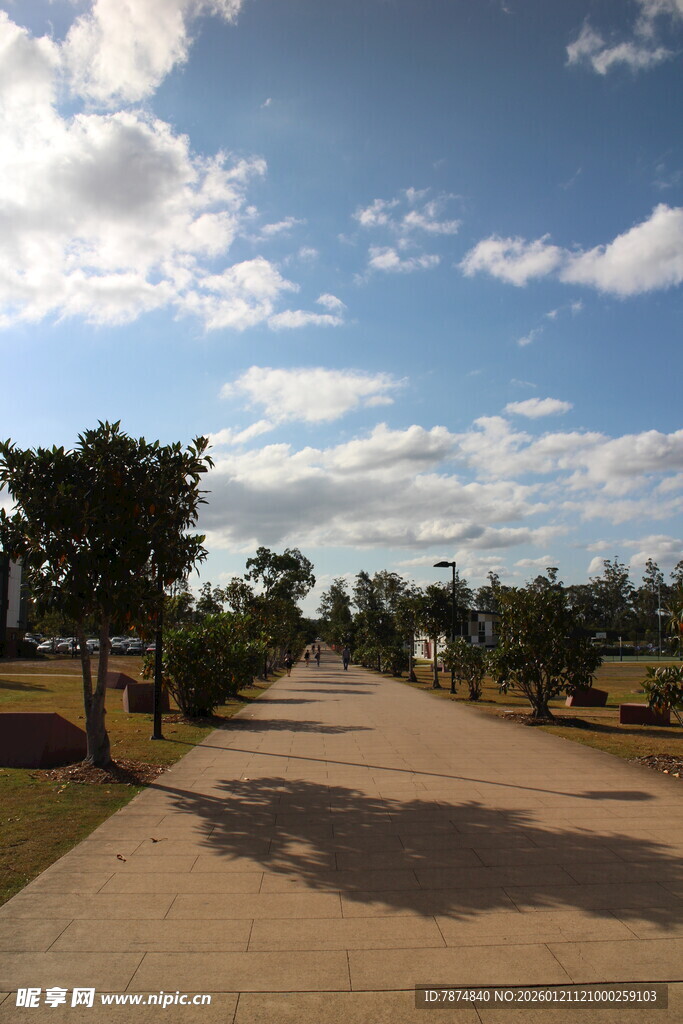 乡村林荫路 蓝天伴白云