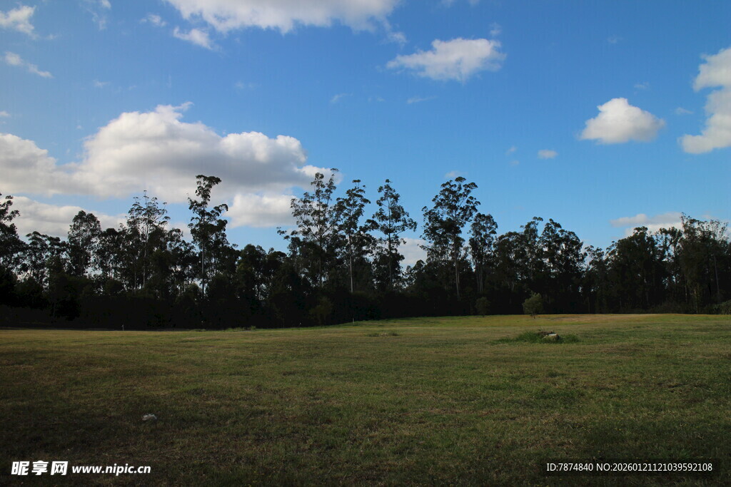 广阔草原与远方树林景观