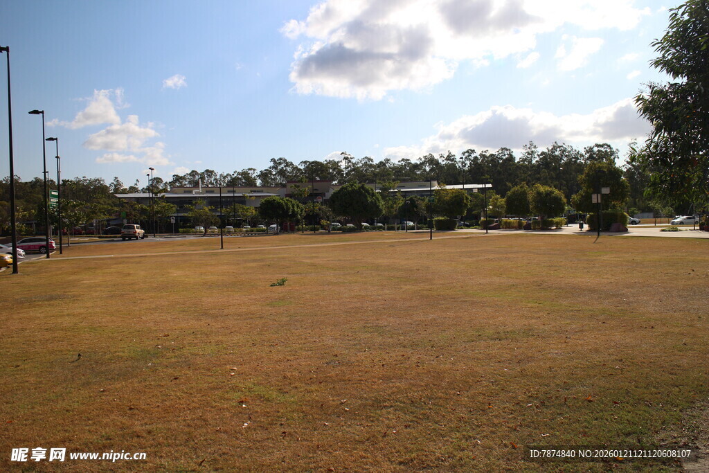 户外开阔草地场景