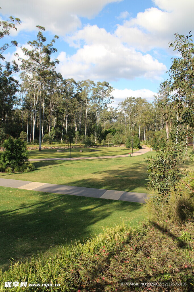 郊外绿意盎然的开阔风景