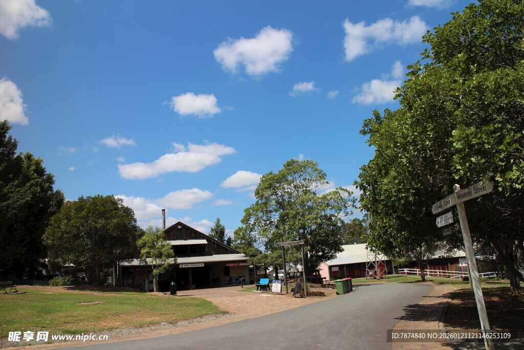 乡村宁静街道与绿树景观