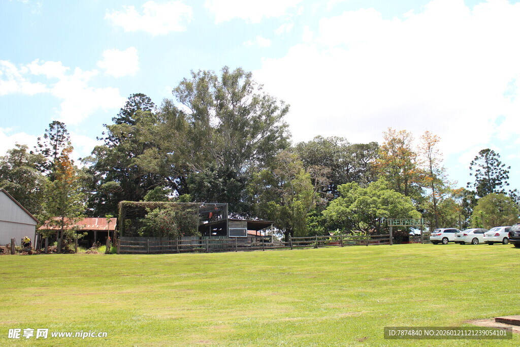 户外开阔草地与树林景色