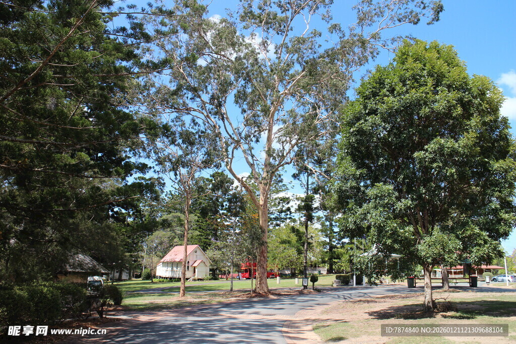 阳光照耀下的林间休闲小道