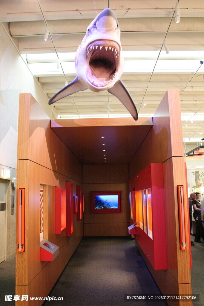 鲨鱼造型悬挂的独特通道