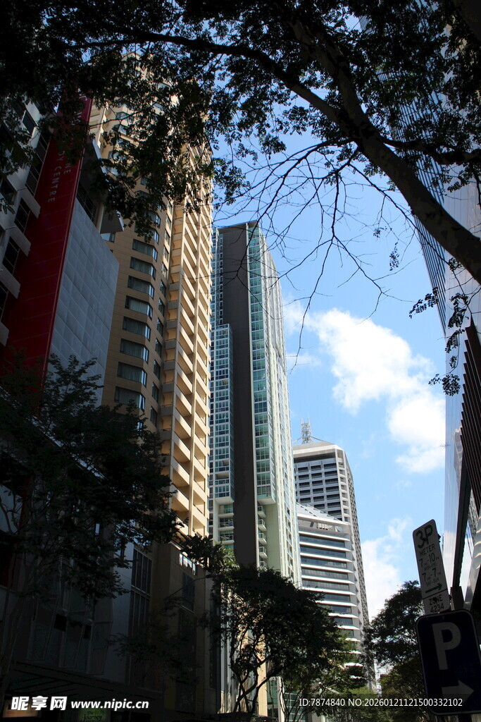 城市高楼与繁茂树木景观