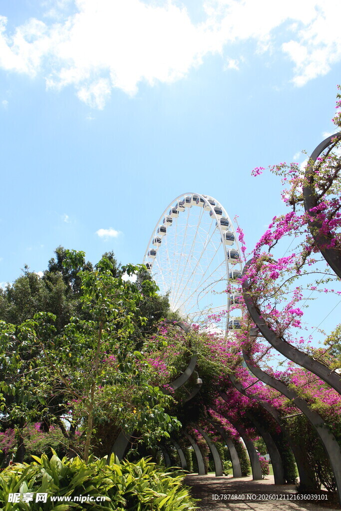 游乐园中的摩天轮与繁花