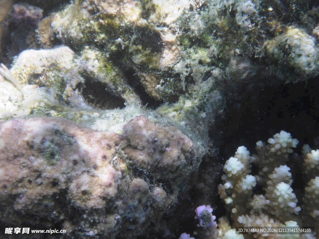 海底珊瑚洞穴景观