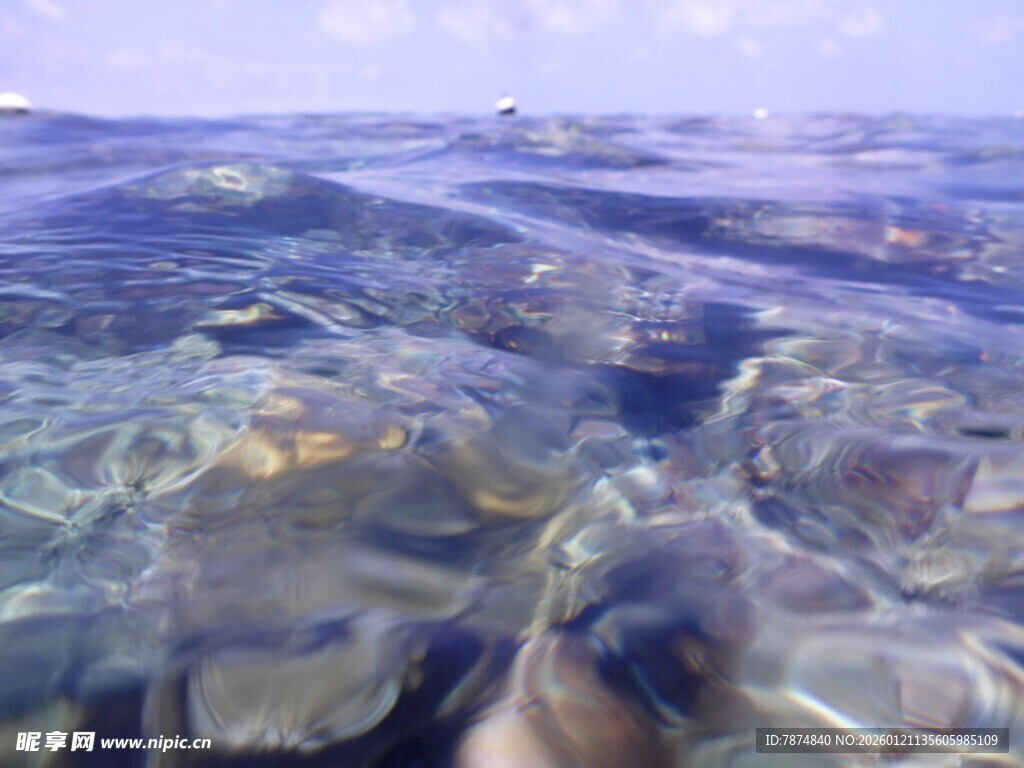 清澈海面下的多彩海底世界