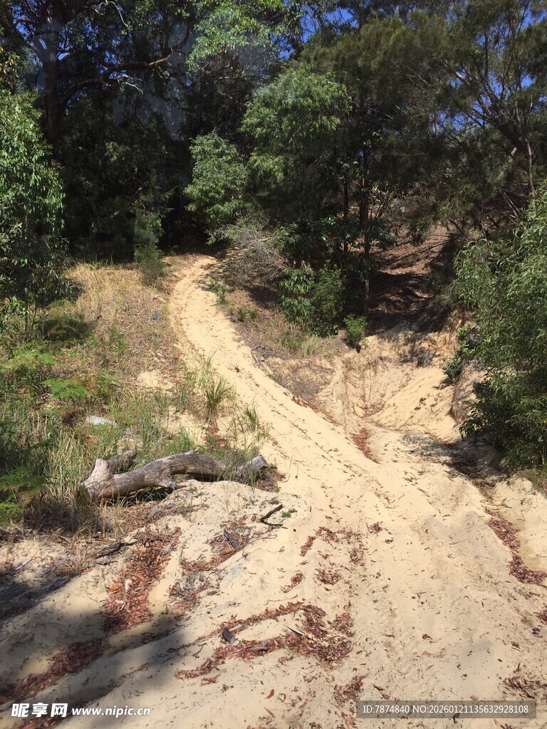 山间沙土小径 绿意环绕