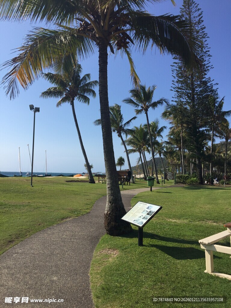 海滨草地旁的休闲长椅