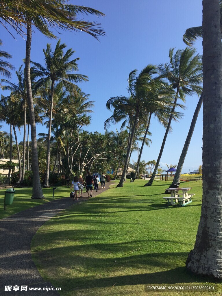 海滨椰林草地休闲美景