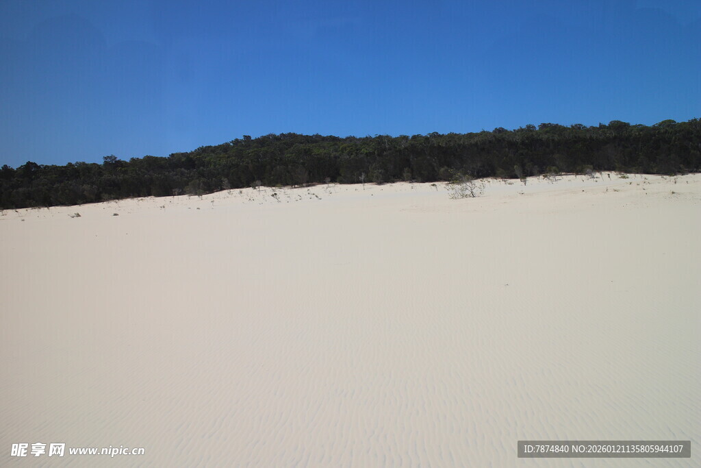蓝天雪地间的森林景观