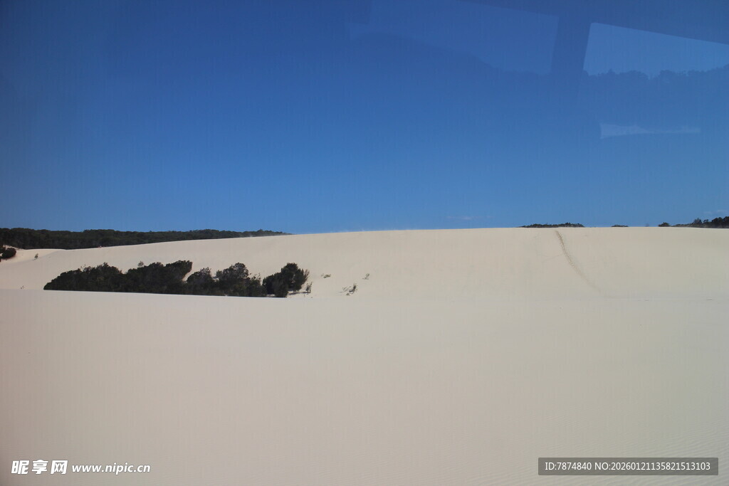 广袤沙漠中的植被景观