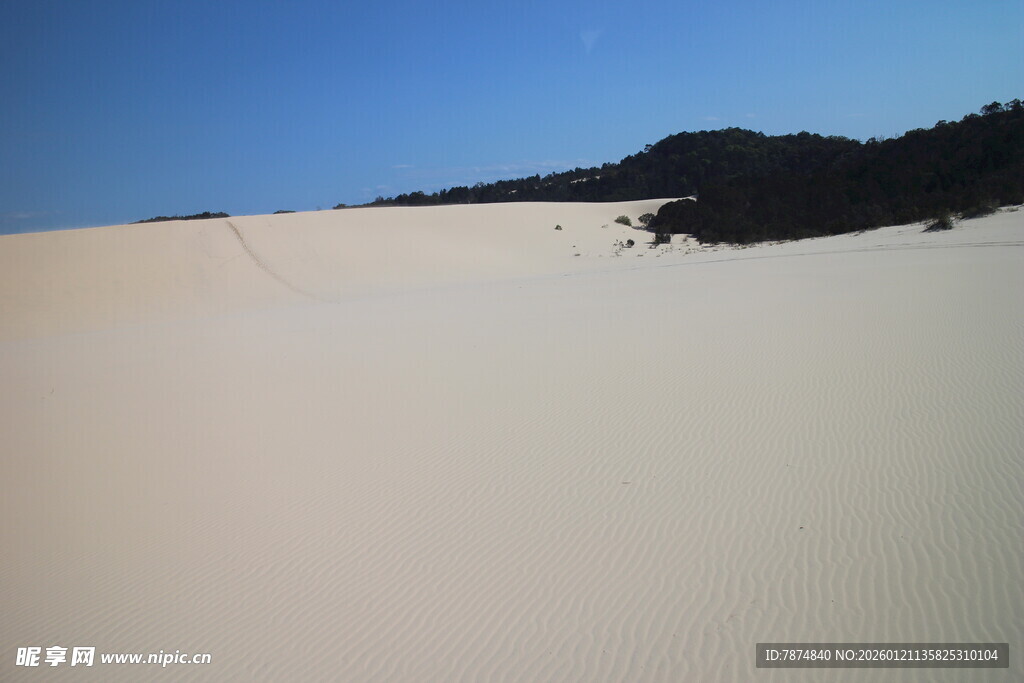 广袤沙漠与远处植被景观