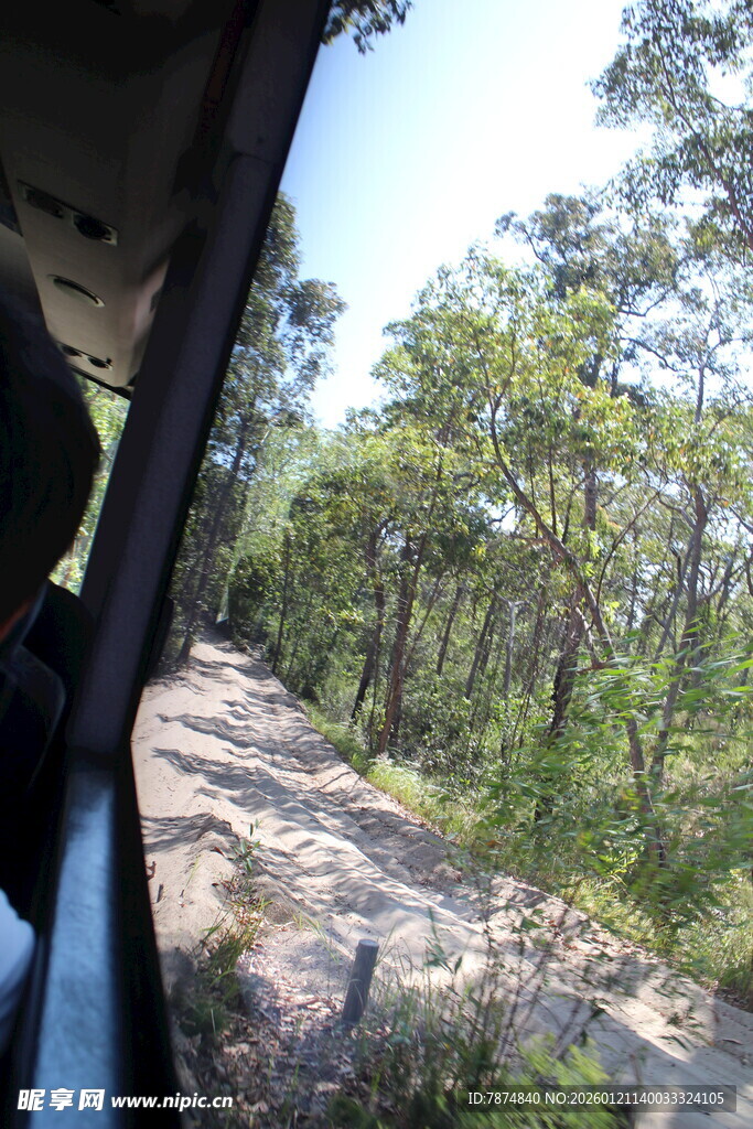 车窗外的林间土路