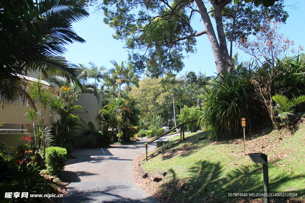 宁静林荫小道 自然好风光