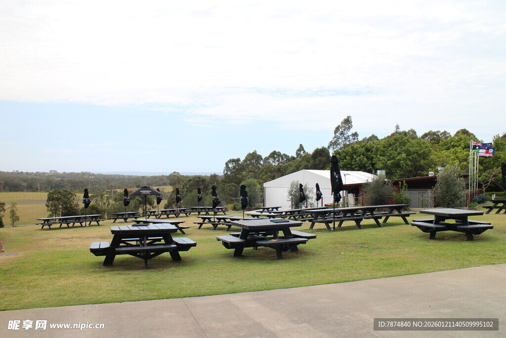 户外草地的休闲野餐场景