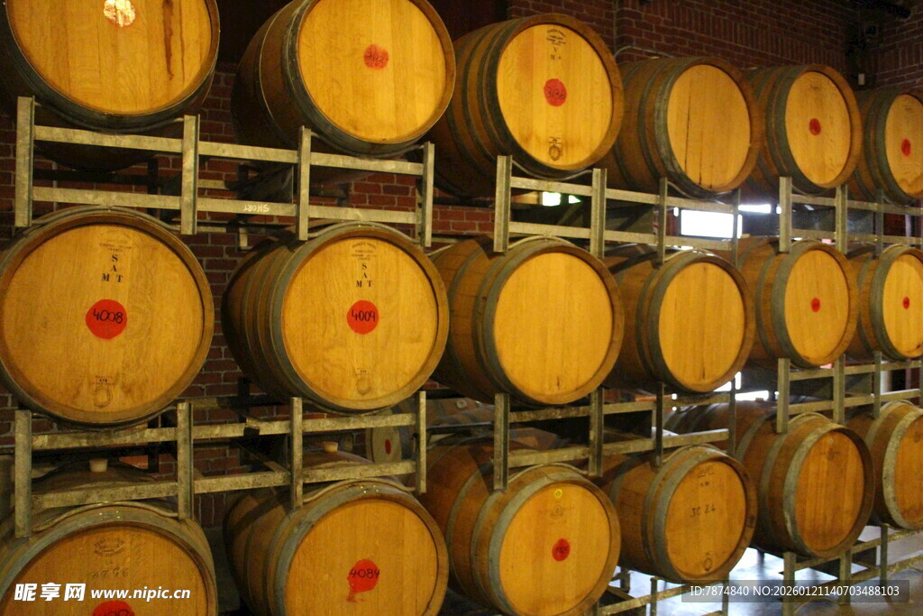 酒窖中的橡木酒桶