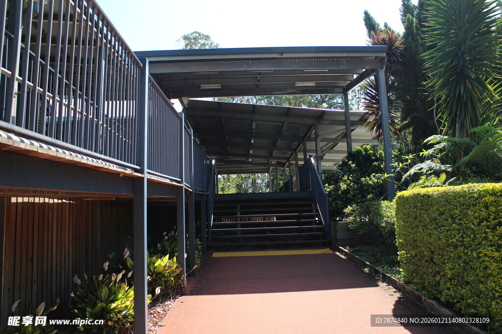 户外庭院绿植环绕步道